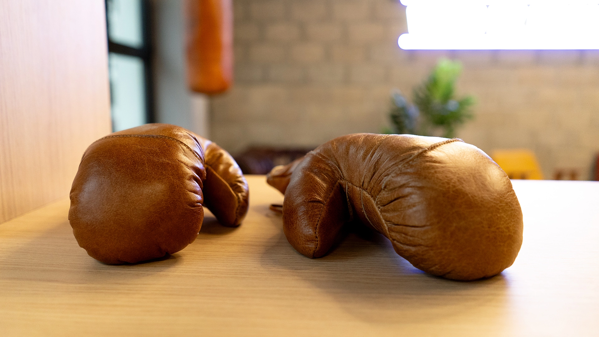 archiworks-zdrofit-pzo-warszawa-silownia-rekawice